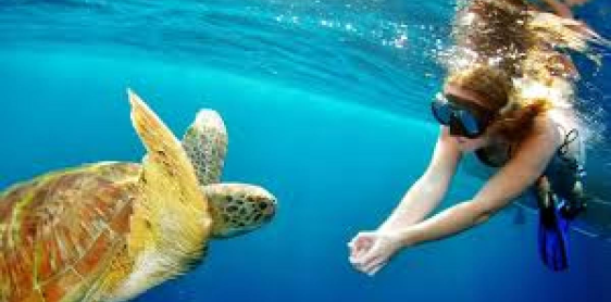 Day 4: Koh Chang - Koh Mak (B) No guide