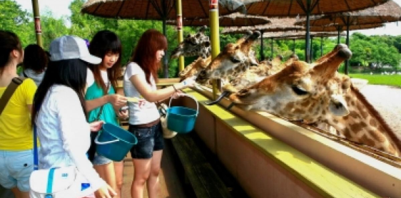 Day 2: Safari World in Bangkok (B)