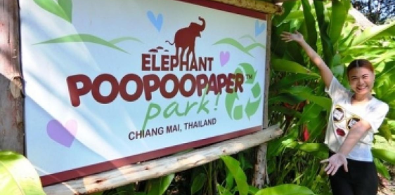 Day 5: Chiang Mai - Elephant Jungle Sanctuary (B, L) Join-in tour, join-in transfer
