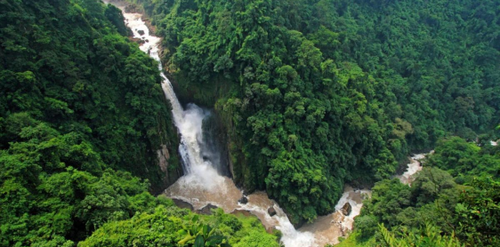 Jour 8 : Parc national de Khao Yai (B, L)