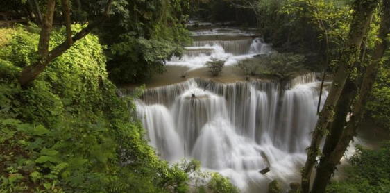 Jour 9. Parc national de Khao Yai – Bangkok (B, L)