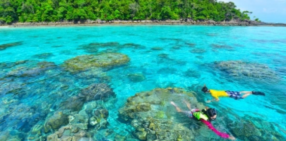 Day 1: Koh Samui arrival – Koh Tao (-) No guide