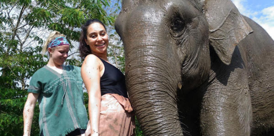 Jour 9 : Chiang Mai – Elephant Nature Park (B, L)