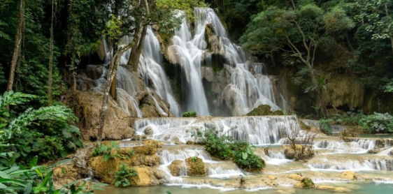 Jour 9 : Luang Prabang – Kuang Si (B)
