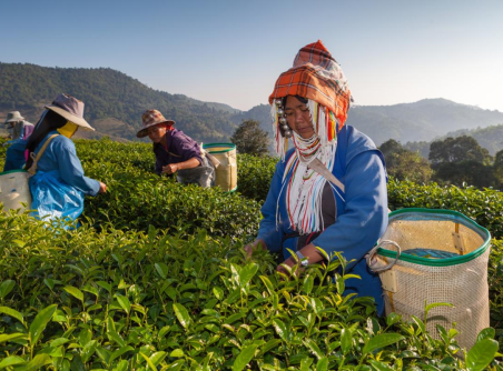 Explore culture of Thailand & Cambodia 10 Days