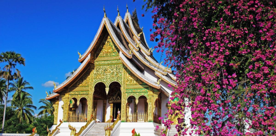 Jour 5 : Luang Prabang (B) 