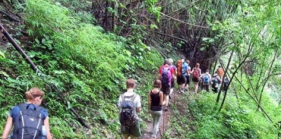 Day 8: Chiang Saen – Chiang Mai (B) No guide