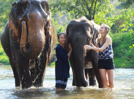 Chiang Mai Randonnée & Elephant 1 jour