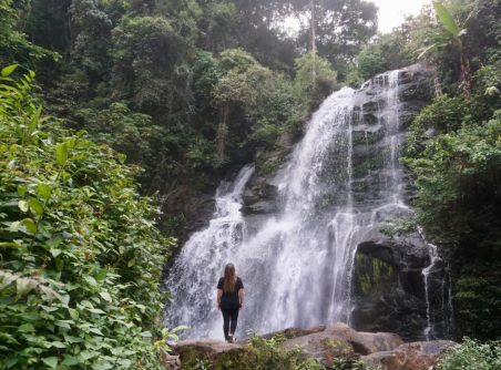 Exploration du parc national de Doi Inthanon 1 jour