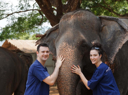 Visite éthique du sanctuaire des éléphants de Chiang Mai
