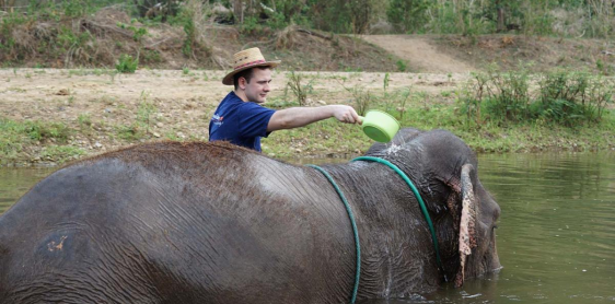Visite éthique du sanctuaire des éléphants de Chiang Mai : Lanna Kingdom Elephant Sanctuary