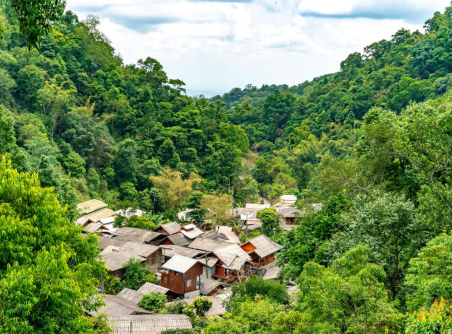 Randonnée dans la jungle de Mae Kam Pong 1 jour