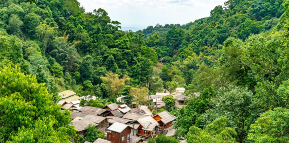 Journée de randonnée dans la jungle de Mae Kampong (L)