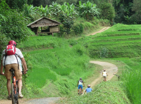 Balade en vélo à la montange autour de Chiang Mai 1 jour
