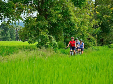 Balade en vélo magnifique à Chiang Mai