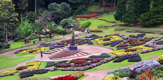 Journée : Doi Tung - Triangle d'or - Chiang Saen (L)