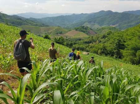 Randonnnée au villages de tribus montagnardes de Chiang Rai 2 jours 1 nuit