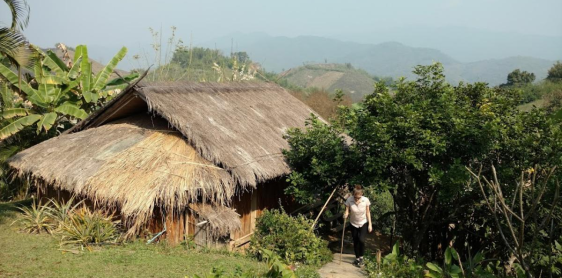 Jour 2 : Randonnée de Sommet de la rizière en terresse au village de Karen - Chiang Rai (B,L)