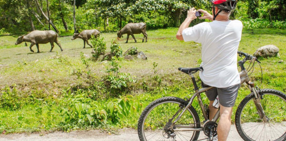 Chiang Rai - Nong Luang - Balade én vélo (L) 40km