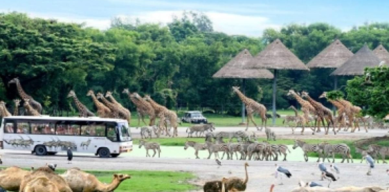 Day 3: Safari World (B, L) No guide