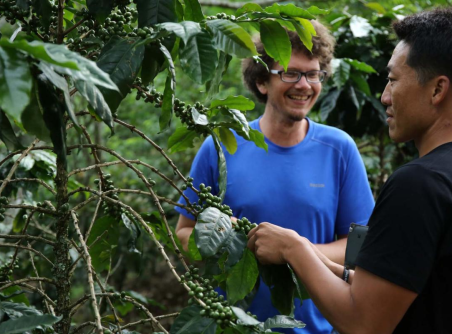 Visite de plantation et torréfaction de café de Nan 1 jour