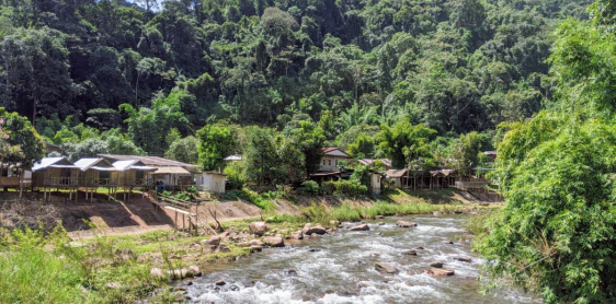 Jour 4 : Bo Kluea - Nan - Départ (B)