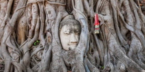 Day 6: Ayutthaya Historical Park – Shared cruise back to Bangkok (B/L)