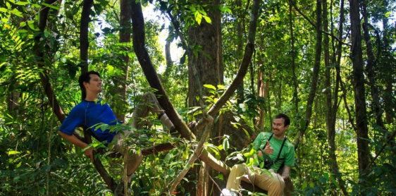 Jour 2 : Khaos Sok - Krabi (B,L)