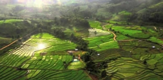 Day 9: Back to Chiang Mai – Freeday at leisure (B)