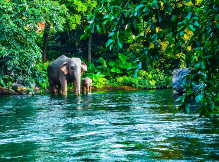 Insight on Isaan 6 Days