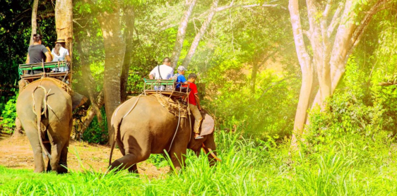 Jour 10 : Chiang Rai  – Triangle d’or – Chiang Rai (B)
