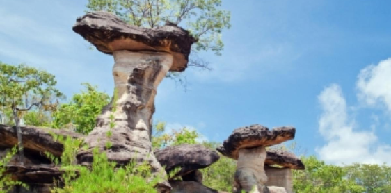 Day 5: Ubon Ratchani Tours (B)