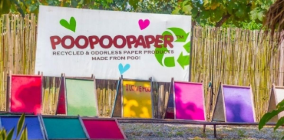 Day 9: Palong village – Chiang Dao Cave – Chiang Mai (B, L)