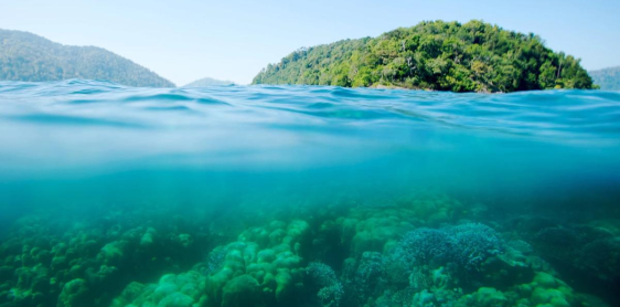 Jour 13 : Khao Lak – Journée libre sur vos propres activités