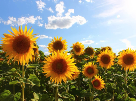 Saraburi from Bangkok in 1 day