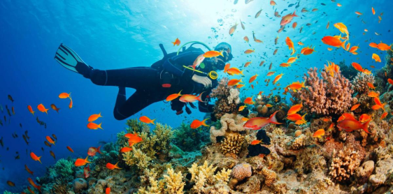 Day 11: Phu Quoc beach free & easy (B)