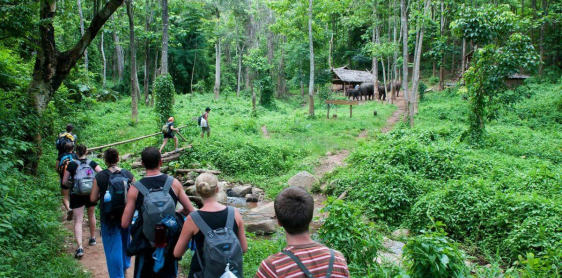 Jour 5 : Chiang Mai - Visite de la ville (B)