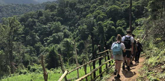 Jour 6 : Chiang Mai – Doi Inthanon – Chiang Mai (B/L)